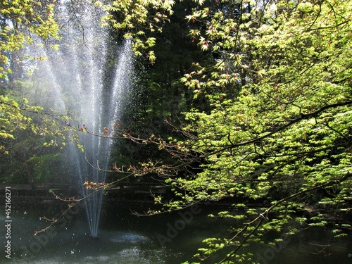 加茂山公園（新潟県）の噴水