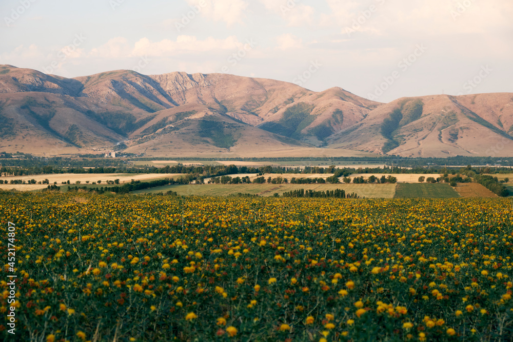 Nature of the Kazakhstan Republic, steppes and hills, mountains and sky