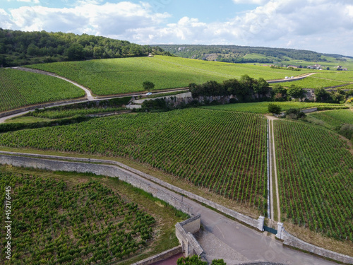 Aerian view on green grand cru and premier cru vineyards with rows of pinot noir grapes plants in Cote de nuits, making of famous red Burgundy wine in Burgundy region of eastern France. photo