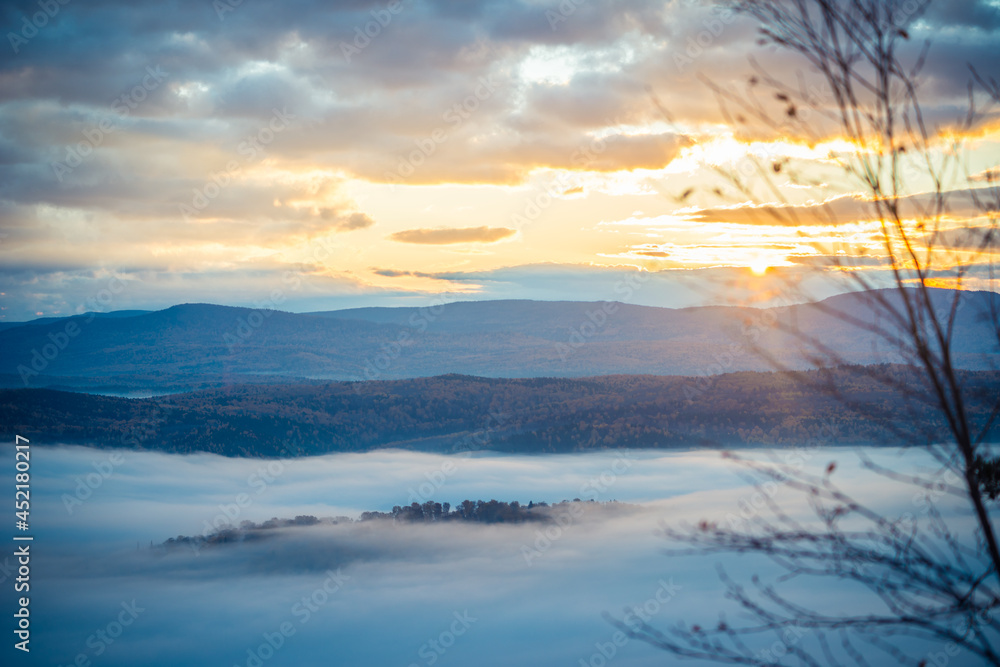 Obraz premium landscape with fog