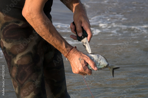 Pesce fresco. photo