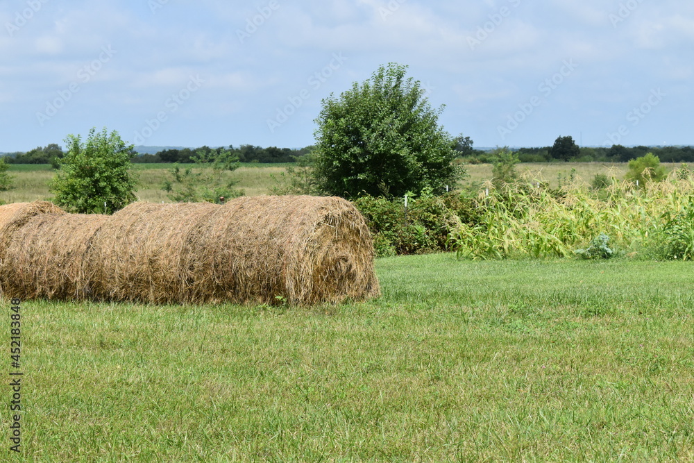 Hay Bales by a Garden