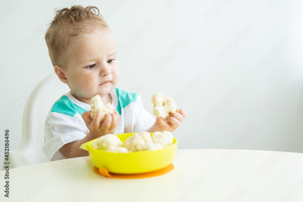 smiling baby boy sitting in a Childs chair eating cauliflower on white kitchen. smiling baby boy sitting in a Childs chair eating cauliflower on white kitchen.