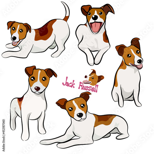 Cute Jack Russell dog collection in different poses in free hand drawing vector illustration style.