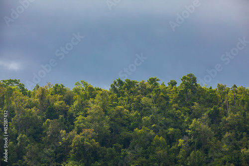 Island skyline covered with tropical jungle, on a cloudy day, Raja Ampat, West Papua, Indonesia © Alvaro