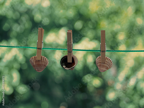 Seashells hanging on clothesline
