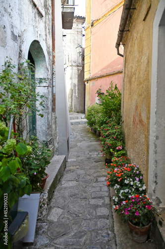 A street in the historic center of Rivello, a medieval town in the Basilicata region, Italy. 