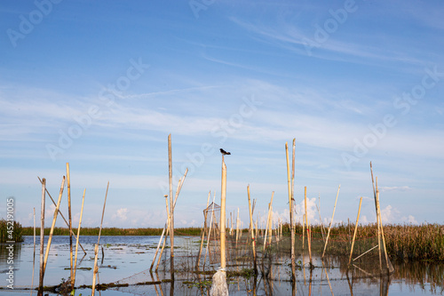 Thale Noi, Phatthalung, Thailand