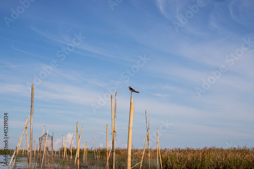 Thale Noi, Phatthalung, Thailand
