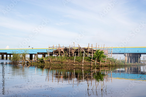 Water buffalo, Thale Noi, Phatthalung, Thailand