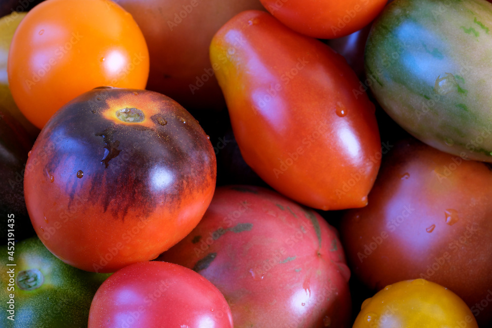 Ripe sweet small tomatoes Ripe sweet small tomatoes