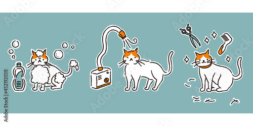 猫のトリミングの流れ（シンプル）
