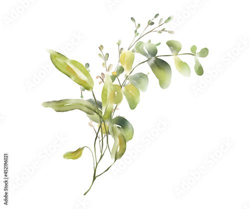 Watercolor floral bouquet illustration. Isolated on white background.