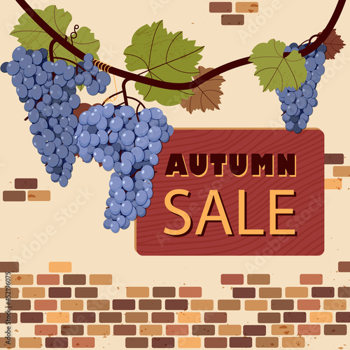 banner with a vine for autumn sale