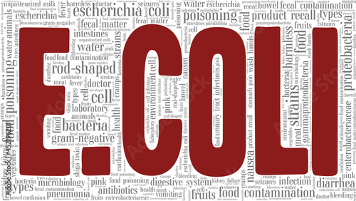 Escherichia Coli vector illustration word cloud isolated on a white background.