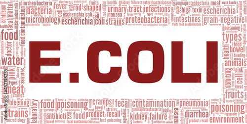 Escherichia Coli vector illustration word cloud isolated on a white background.