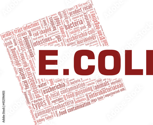 Escherichia Coli vector illustration word cloud isolated on a white background.