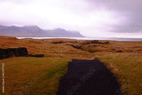 Golden Fields Under Stormy Skies in Iceland