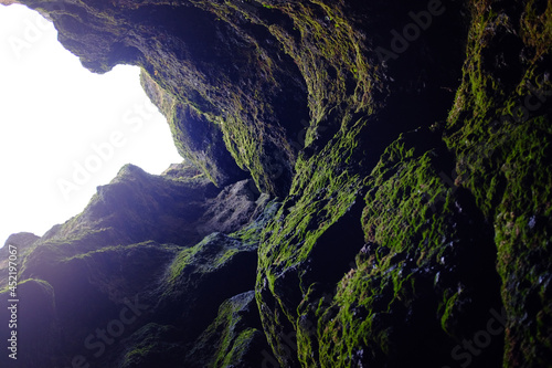 Looking Up Through Moss Covered Cave