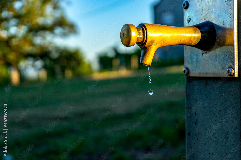 water drop from the source water drop from the source