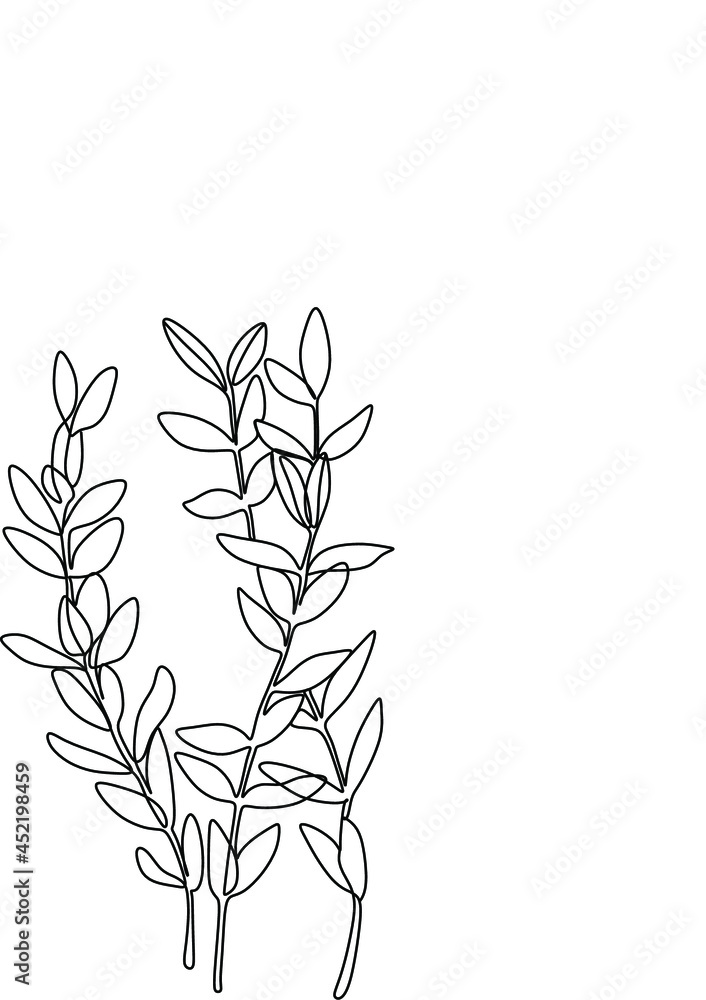 Botanical plants line Botanical plants line