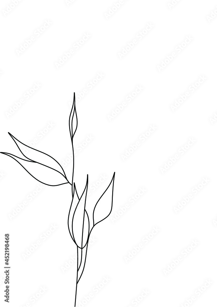 Obraz premium Botanical plants line