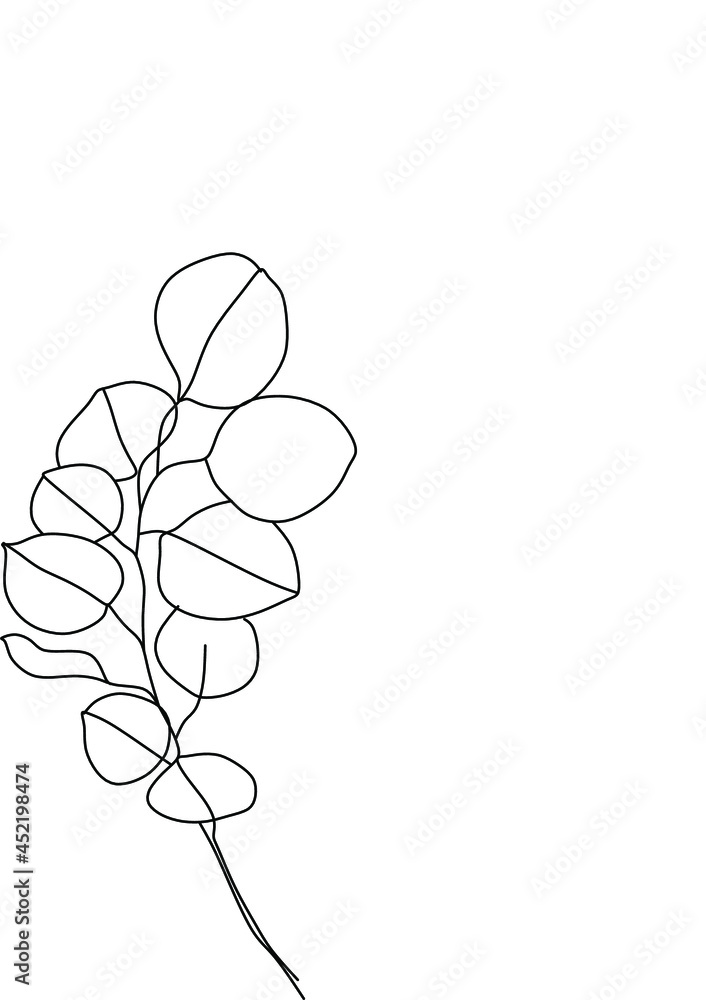 Botanical plants line Botanical plants line