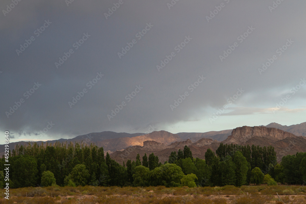 Beautiful view of the desert, field, mountains and green forest at sunset in Uspallata, Mendoza, Argentina.