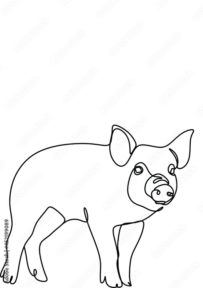 Fototapeta premium pig