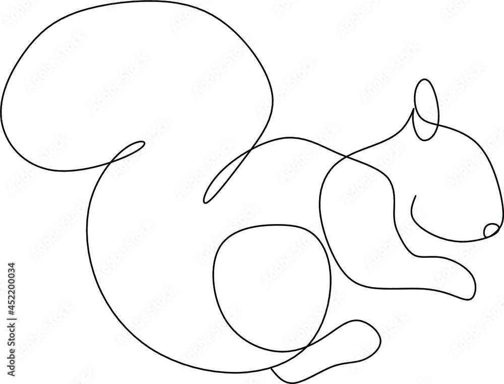 Squirrel Squirrel
