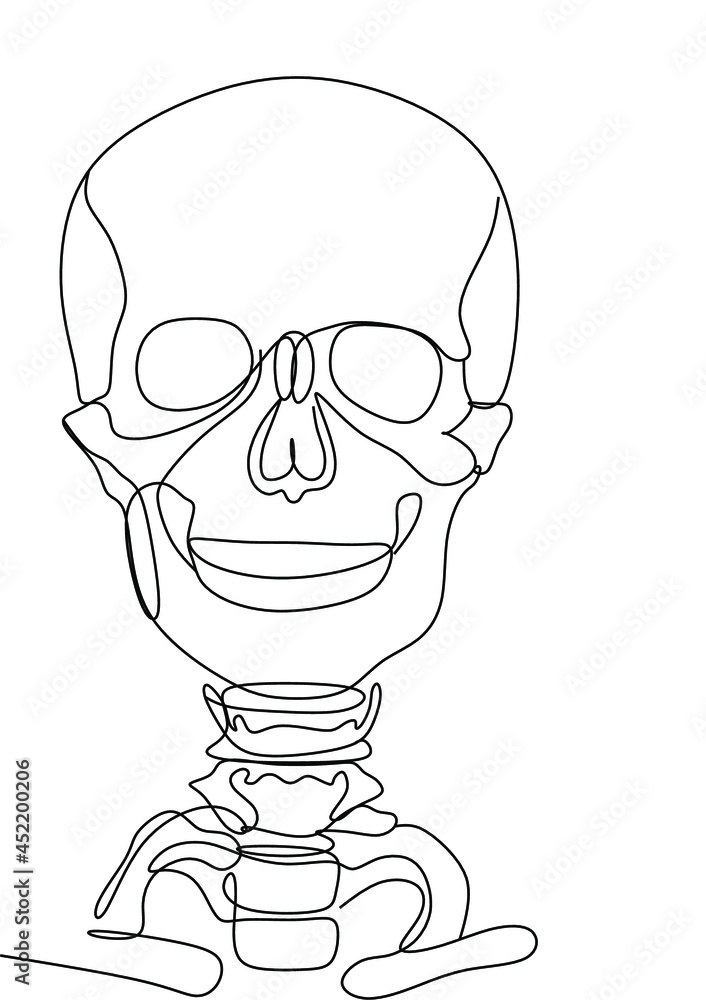 Human skeleton line