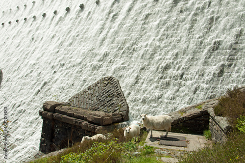 Elan valley in the summertime. photo