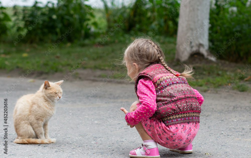 Caucasian girl of four years old looking at cat in summer park Caucasian girl of four years old looking at cat in summer park