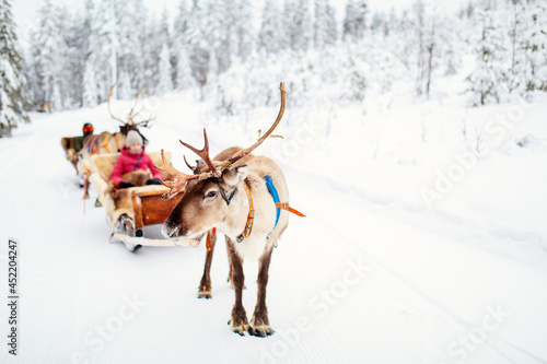 Reindeer safari in Lapland © BlueOrange Studio