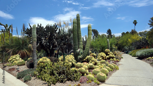 The Los Angeles County Arboretum and Botanic Garden photo