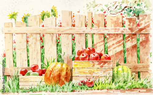 Colorful fruits and vegetables on the background of a wooden fence. Still life on the theme of agriculture. Boxes of fruits and vegetables are illuminated by the sun. © Алексей Панчин