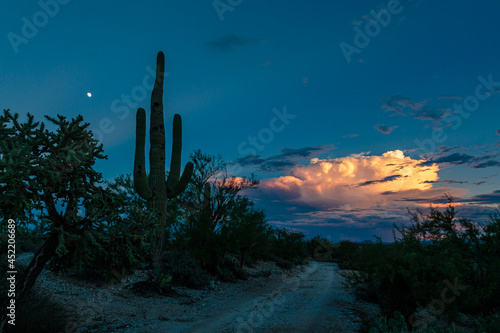 Evening descends on the end of an active monsoon day in the Sonoran Desert.