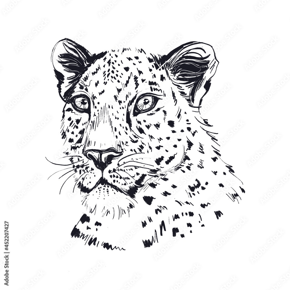 Obraz premium Portrait of Leopard, Carnivore Head. Graphic Face of a wild cat. Hand-drawn animal illustration. Feline, painted by hand. Monochrome Painting. Spotted wildcat.
