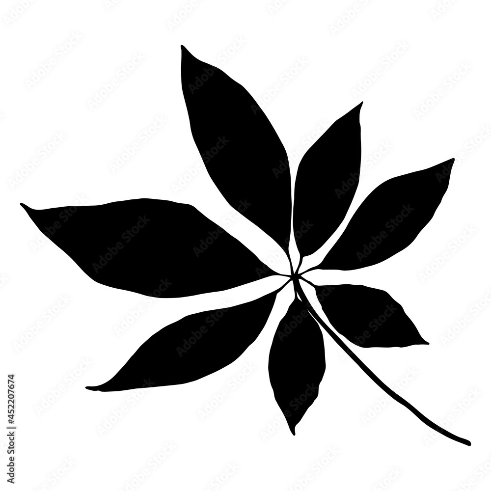 Leaves in black and white Leaves in black and white