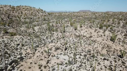Landing aerial shot of the catus desert of Catavina Baja California