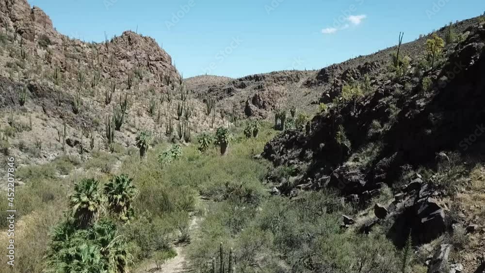 Dry river valley with green vegetation in arid rocky landscape Dry river valley with green vegetation in arid rocky landscape
