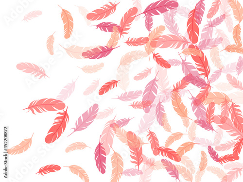 Detailed majestic feather on white design.