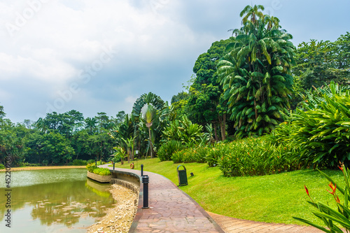 Photography Landscape of Singapore botanic gardens