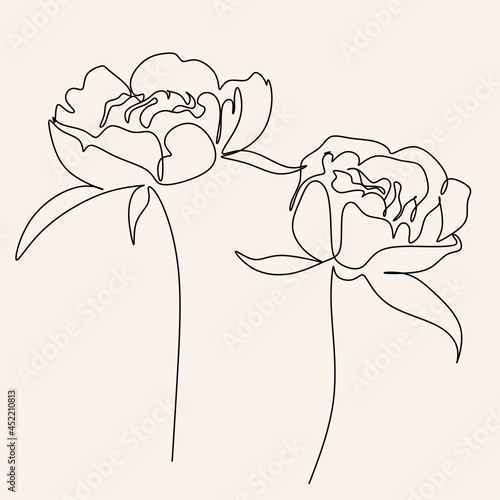 Peony Flowers one line art vector. Botanical peonies line drawing minimalist