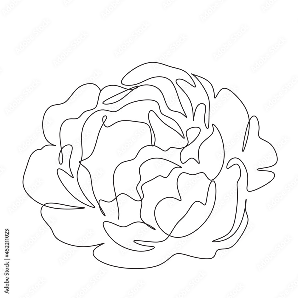 Obraz premium Peony Flowers one line art vector. Botanical peonies line drawing minimalist