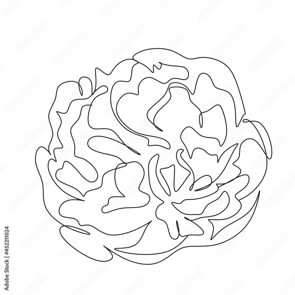 Peony Flowers one line art vector. Botanical peonies line drawing minimalist Peony Flowers one line art vector. Botanical peonies line drawing minimalist