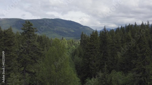 Wallpaper Mural Forest Snoqualmie Pass Washington State Drone Aerial View Torontodigital.ca