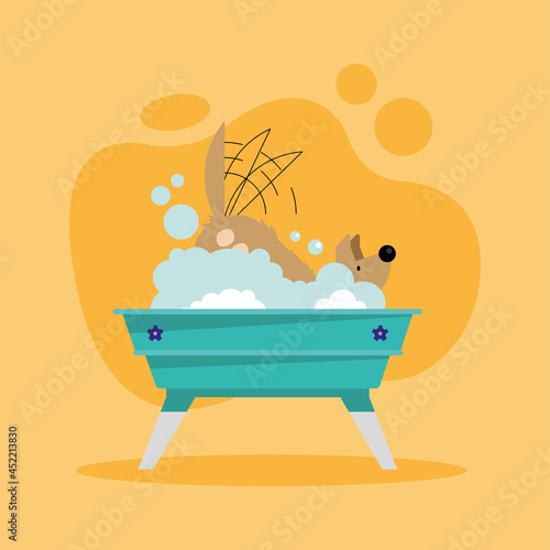 dog shaking off in bathtub