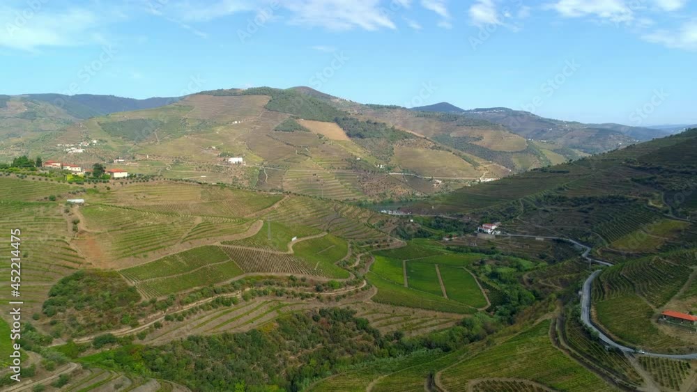 Aerial Forward Beautiful Shot Of Plants Over Mountains Against Sky On Sunny Day - Porto, Portugal Aerial Forward Beautiful Shot Of Plants Over Mountains Against Sky On Sunny Day - Porto, Portugal