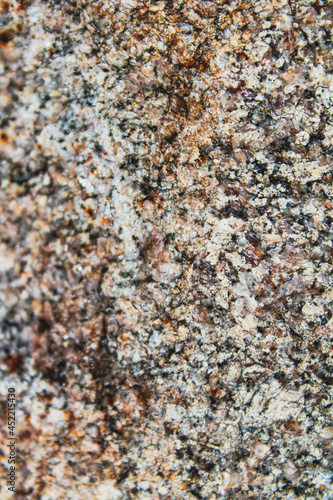 Gray and Beige Rock Macro